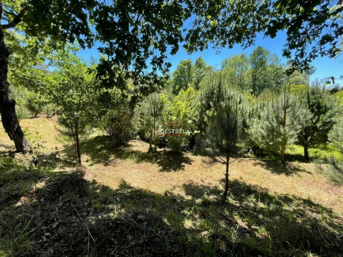 Quinta T0 para Venda em Carragozela e Várzea de Meruge Foto 4