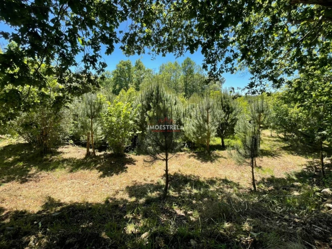 Quinta T0 para Venda em Carragozela e Várzea de Meruge Foto 9