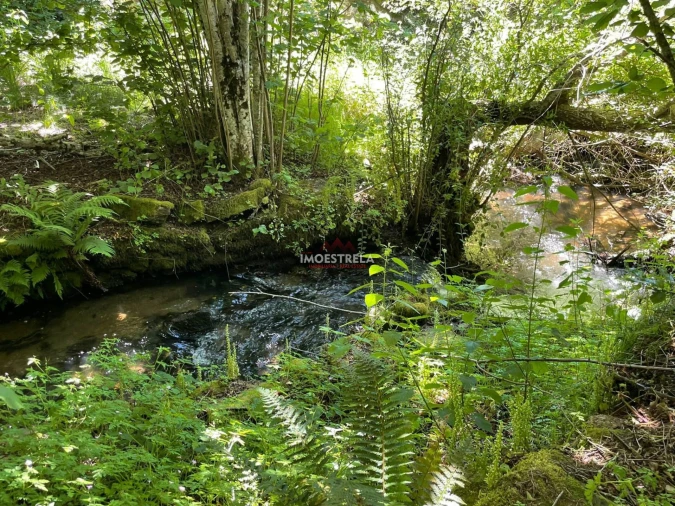 Quinta T0 para Venda em Carragozela e Várzea de Meruge Foto 2