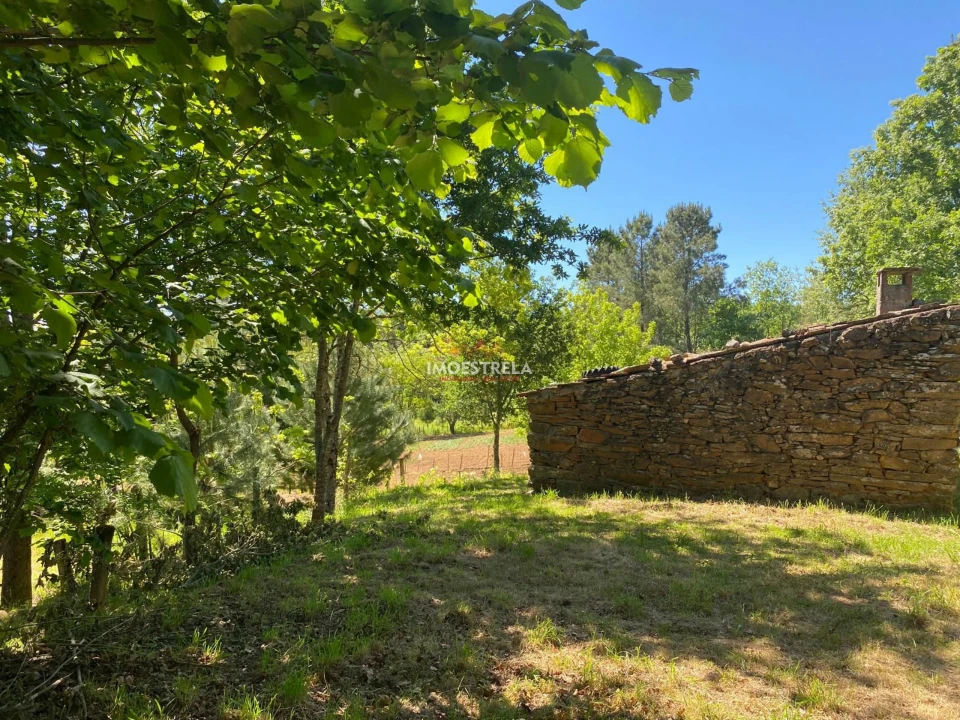 Quinta T0 para Venda em Carragozela e Várzea de Meruge Foto 10