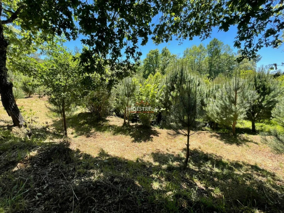 Quinta T0 para Venda em Carragozela e Várzea de Meruge Foto 4