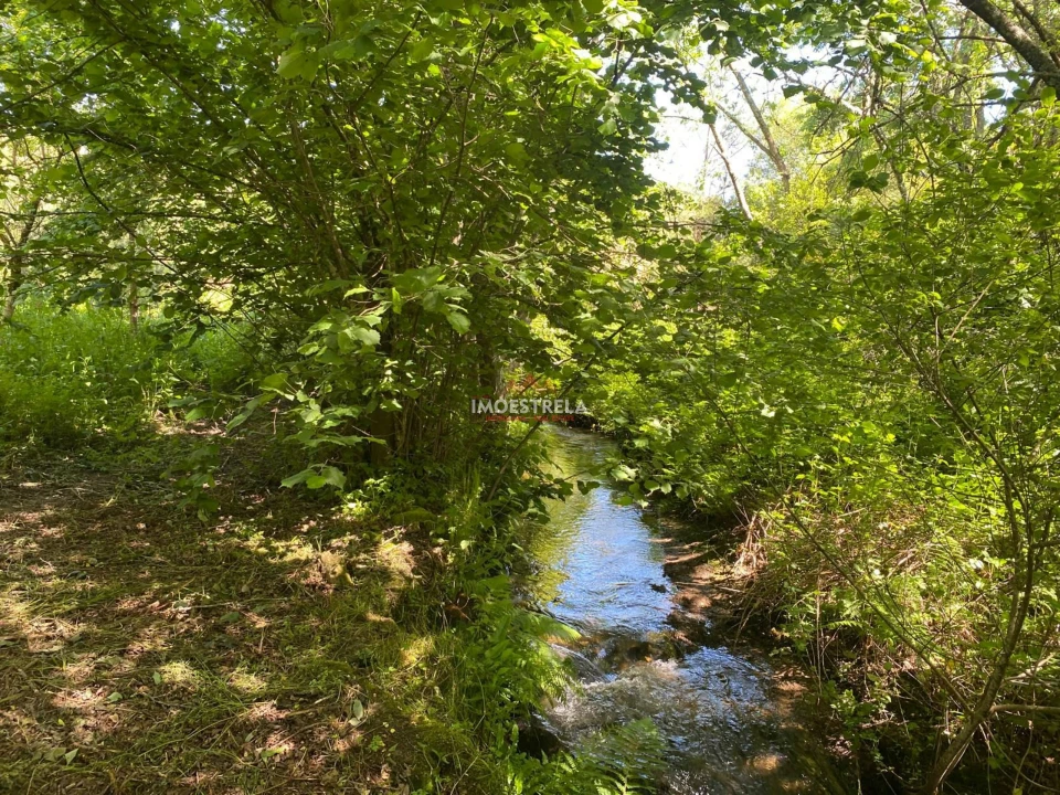 Quinta T0 para Venda em Carragozela e Várzea de Meruge Foto 7