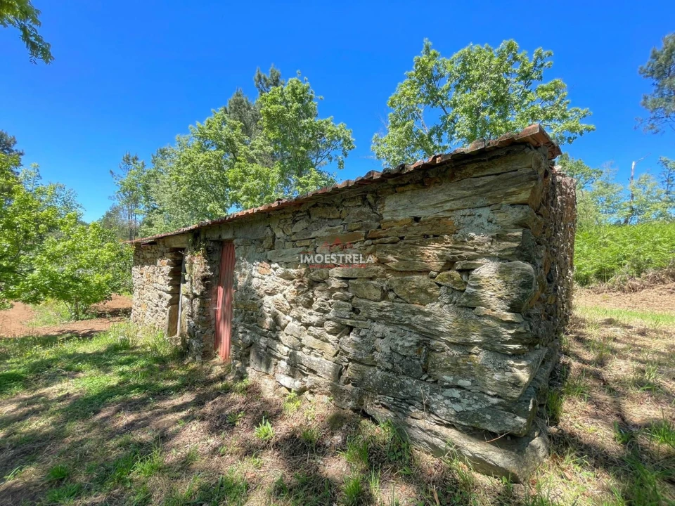 Quinta T0 para Venda em Carragozela e Várzea de Meruge Foto 5