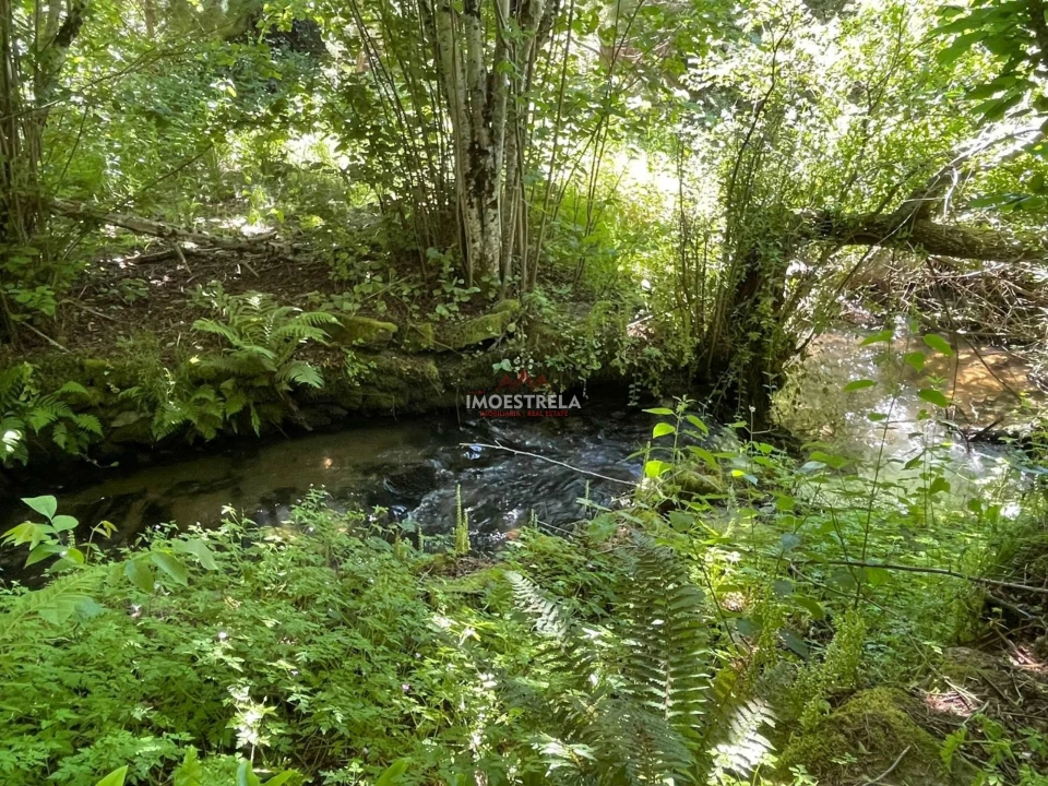 Quinta T0 para Venda em Carragozela e Várzea de Meruge Foto 8