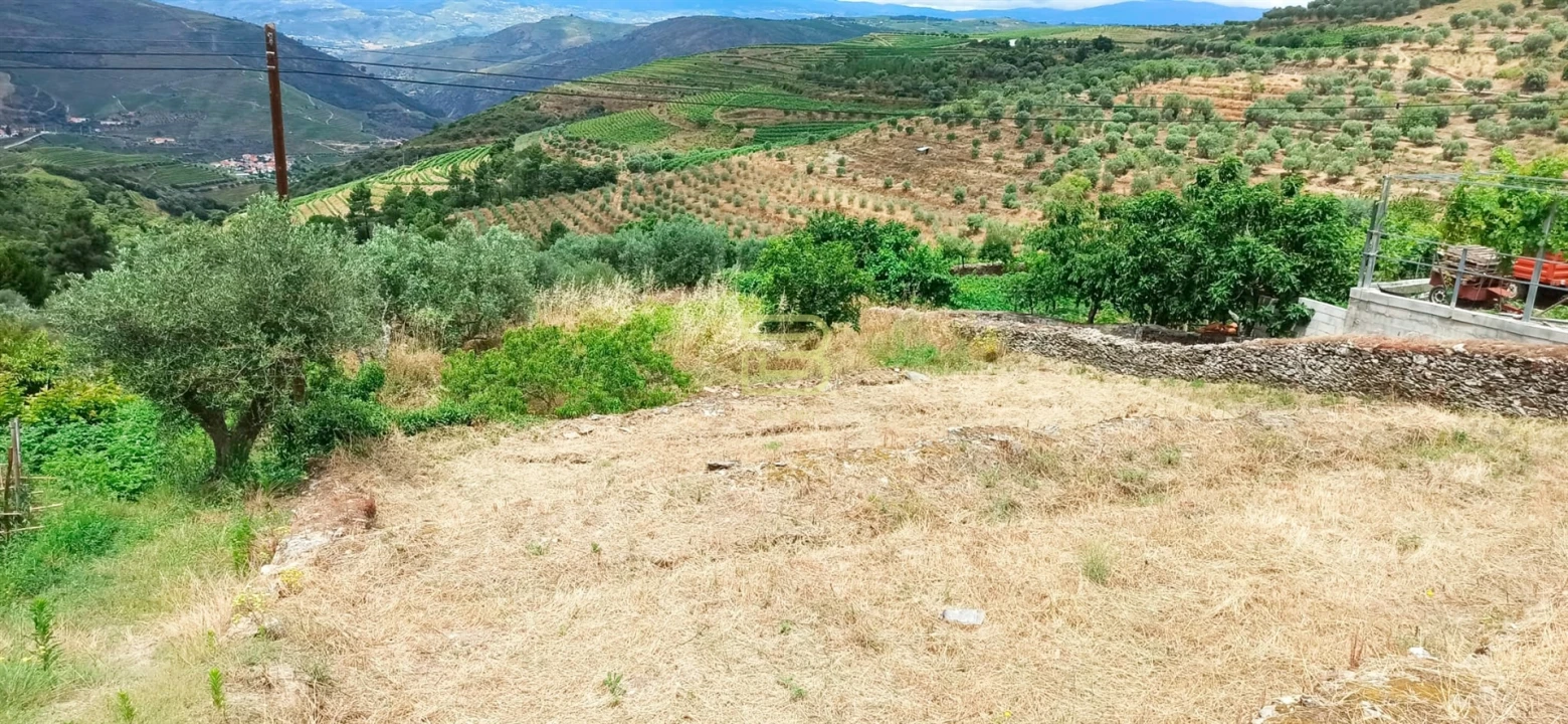Terreno para Venda em Vila Seca e Santo Adrião Foto 2