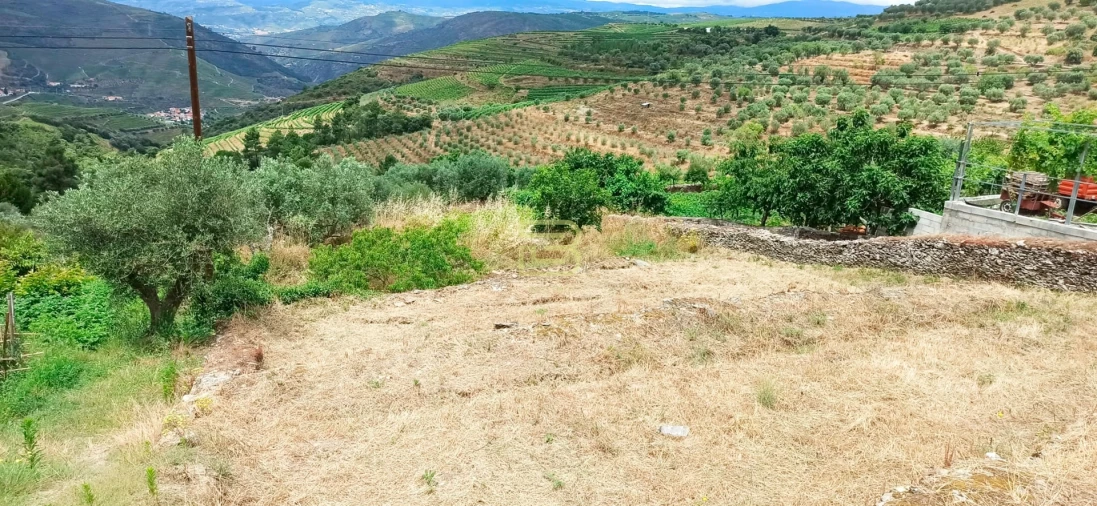 Terreno para Venda em Vila Seca e Santo Adrião Foto 2