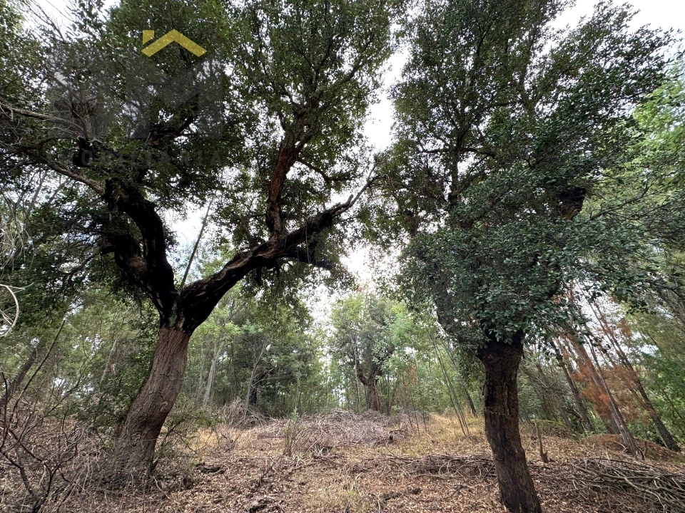 Quinta T0 para Venda em Póvoa de Rio de Moinhos e Cafede Foto 14