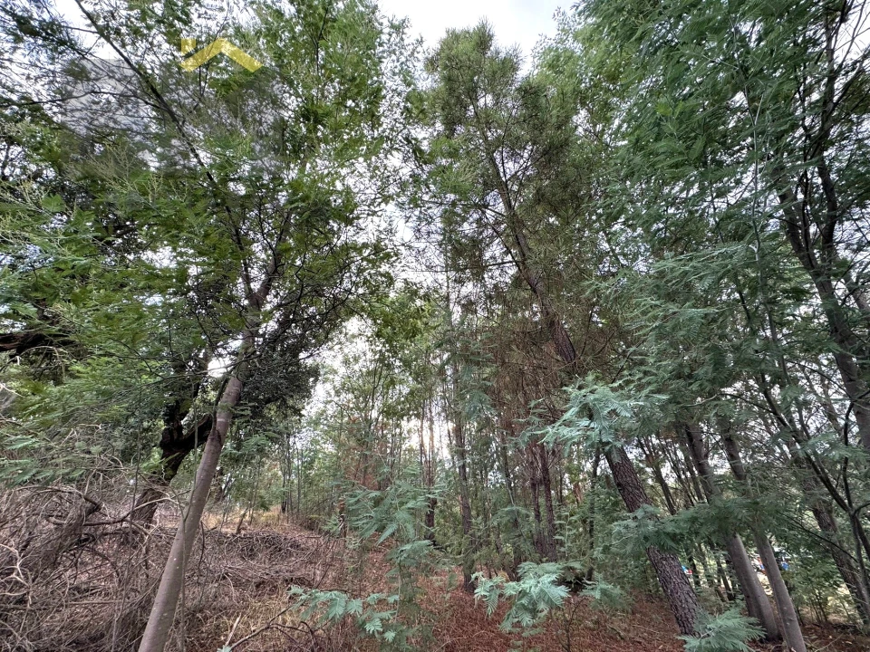 Quinta T0 para Venda em Póvoa de Rio de Moinhos e Cafede Foto 13