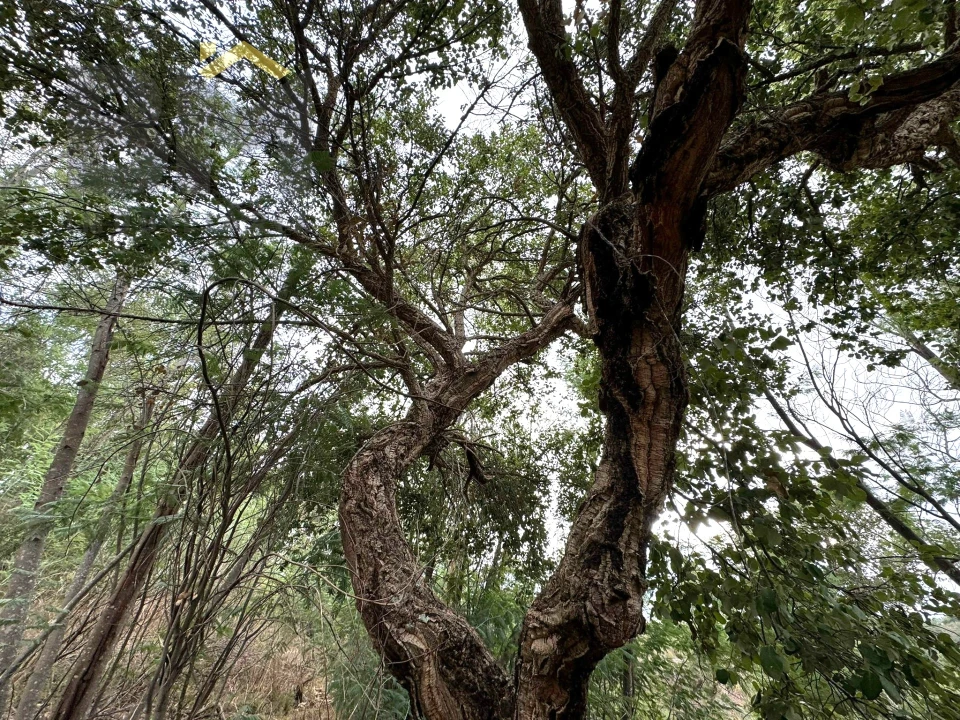 Quinta T0 para Venda em Póvoa de Rio de Moinhos e Cafede Foto 11