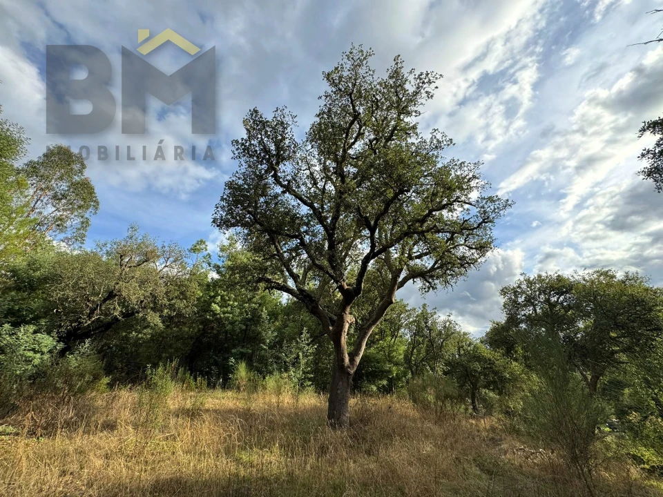 Quinta T0 para Venda em Póvoa de Rio de Moinhos e Cafede Foto 9