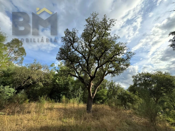 Quinta T0 para Venda em Póvoa de Rio de Moinhos e Cafede Foto 9