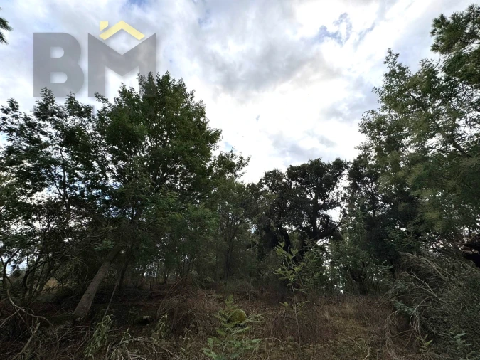 Quinta T0 para Venda em Póvoa de Rio de Moinhos e Cafede Foto 12