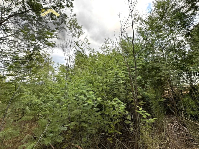 Quinta T0 para Venda em Póvoa de Rio de Moinhos e Cafede Foto 10