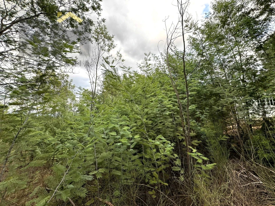 Quinta T0 para Venda em Póvoa de Rio de Moinhos e Cafede Foto 10