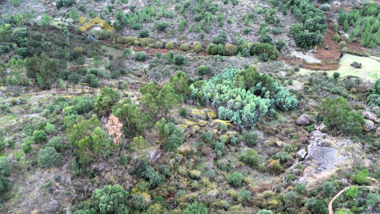 Terreno Agricola ou Rústico para Venda em Póvoa de Rio de Moinhos e Cafede Foto 3