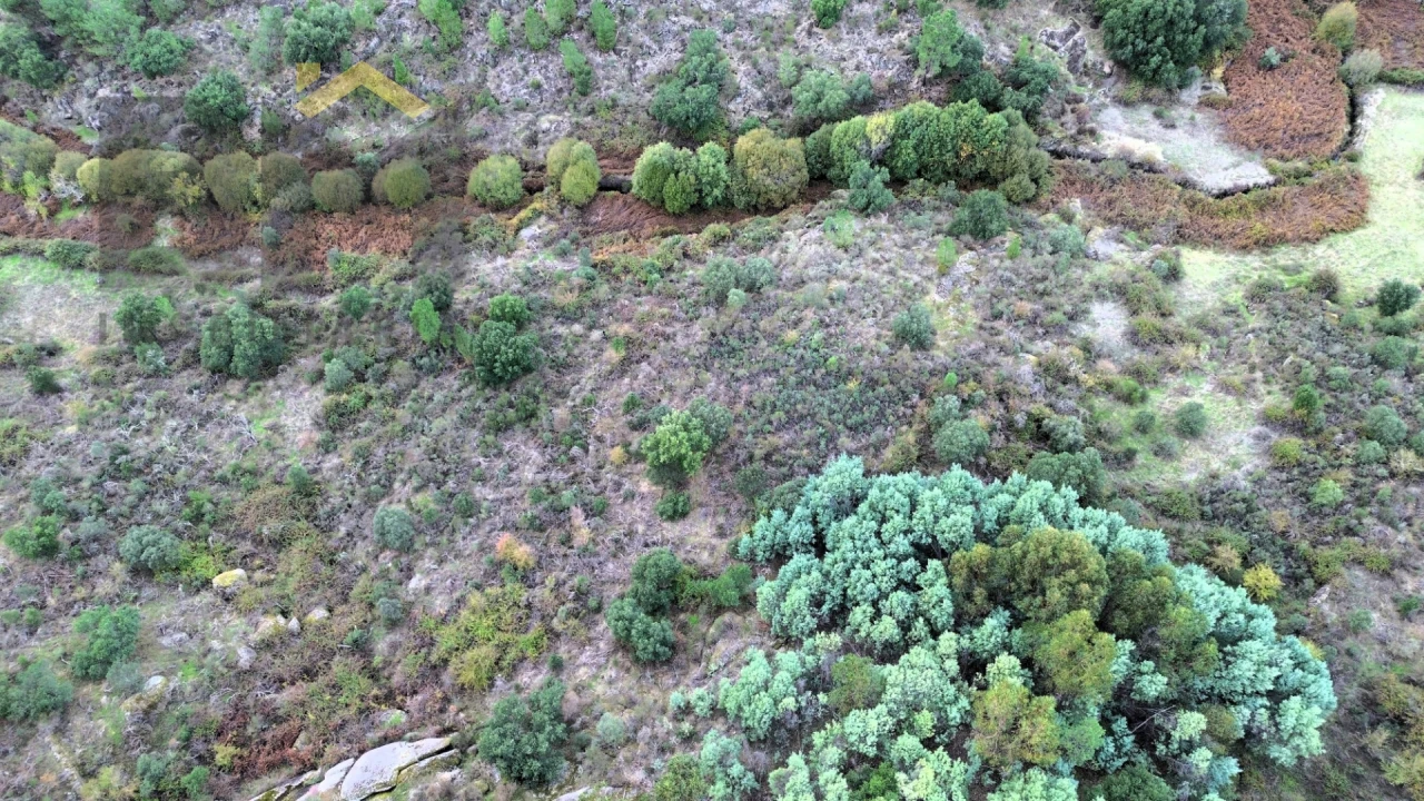Terreno Agricola ou Rústico para Venda em Póvoa de Rio de Moinhos e Cafede Foto 4