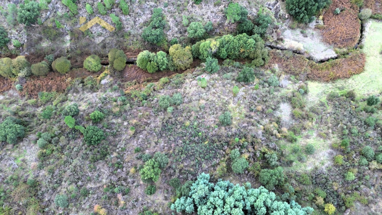 Terreno Agricola ou Rústico para Venda em Póvoa de Rio de Moinhos e Cafede Foto 2