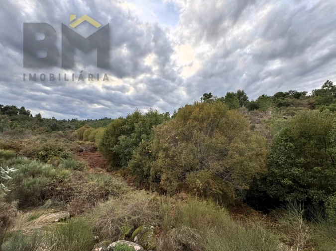 Terreno Agricola ou Rústico para Venda em Póvoa de Rio de Moinhos e Cafede Foto 5