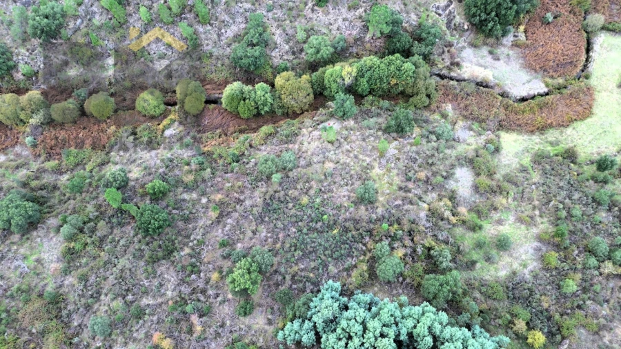Terreno Agricola ou Rústico para Venda em Póvoa de Rio de Moinhos e Cafede Foto 2