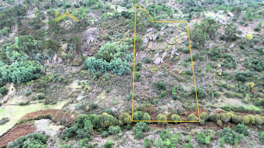 Terreno Agricola ou Rústico para Venda em Póvoa de Rio de Moinhos e Cafede