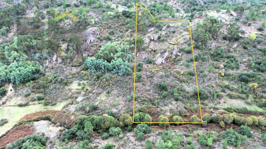 Terreno Agricola ou Rústico para Venda em Póvoa de Rio de Moinhos e Cafede
