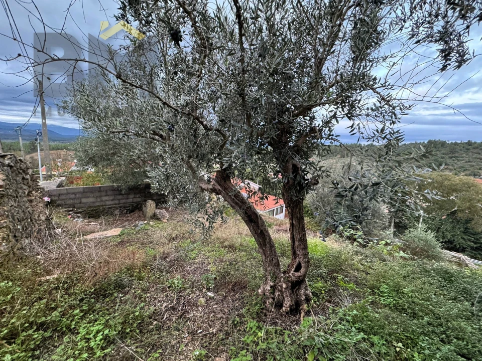 Moradia T1 para Venda em Salgueiro do Campo Foto 8