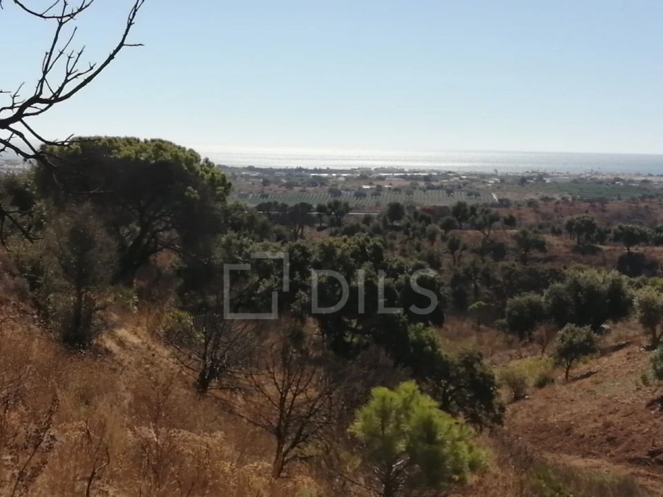 Terreno para Venda em Vila Nova de Cacela Foto 4