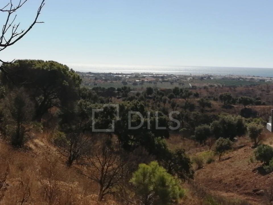 Terreno para Venda em Vila Nova de Cacela Foto 3
