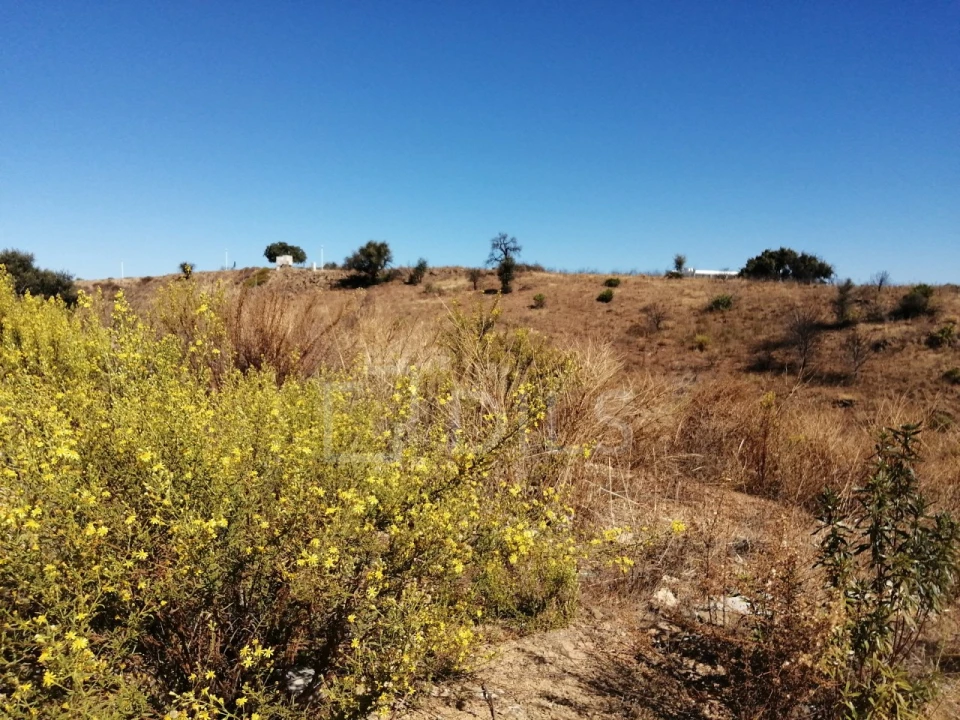 Terreno para Venda em Vila Nova de Cacela Foto 5