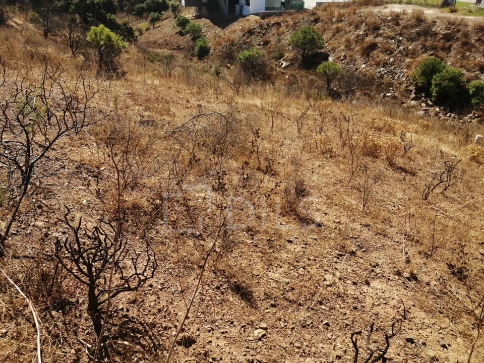 Terreno para Venda em Vila Nova de Cacela Foto 9