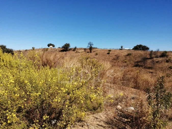 Terreno para Venda em Vila Nova de Cacela Foto 5