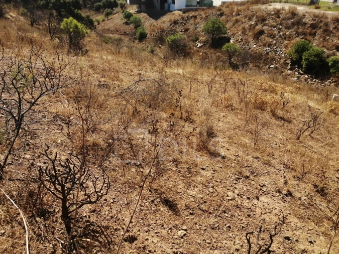 Terreno para Venda em Vila Nova de Cacela Foto 9