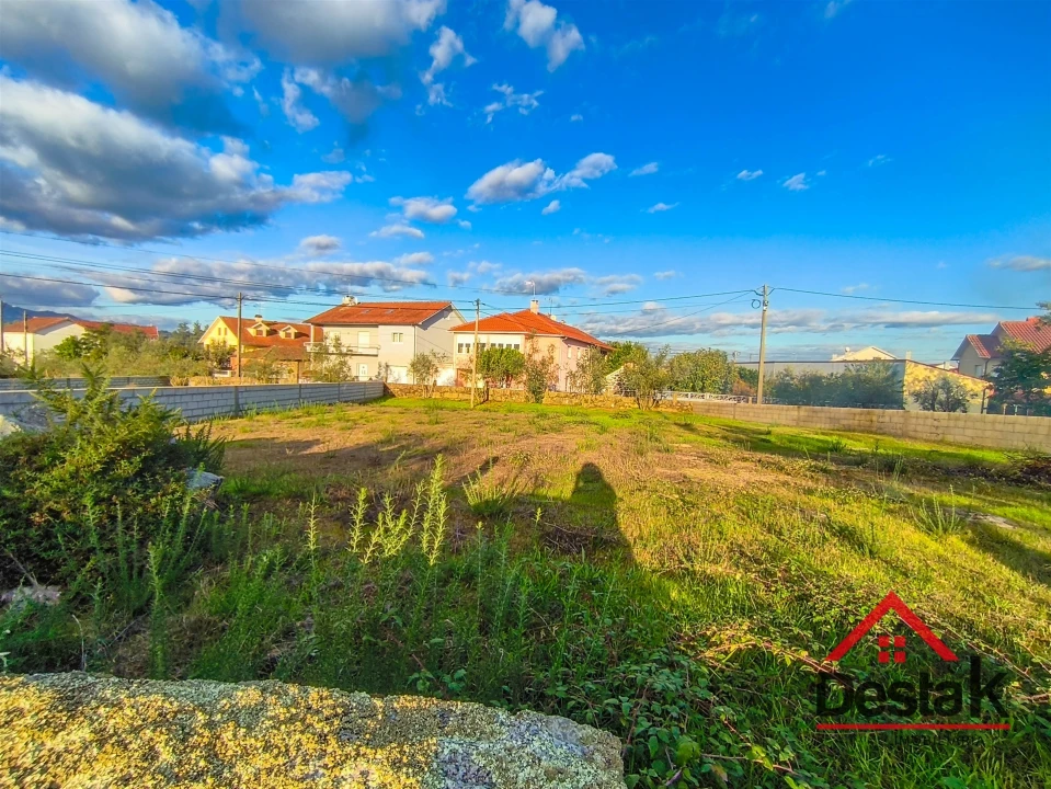 Terreno para Venda em Molelos Foto 2