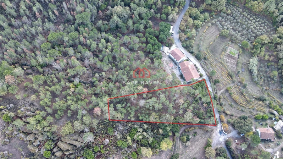 Terreno Agricola ou Rústico para Venda em Mangualde, Mesquitela e Cunha Alta