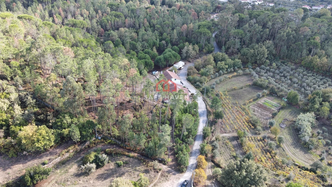 Terreno Agricola ou Rústico para Venda em Mangualde, Mesquitela e Cunha Alta Foto 4
