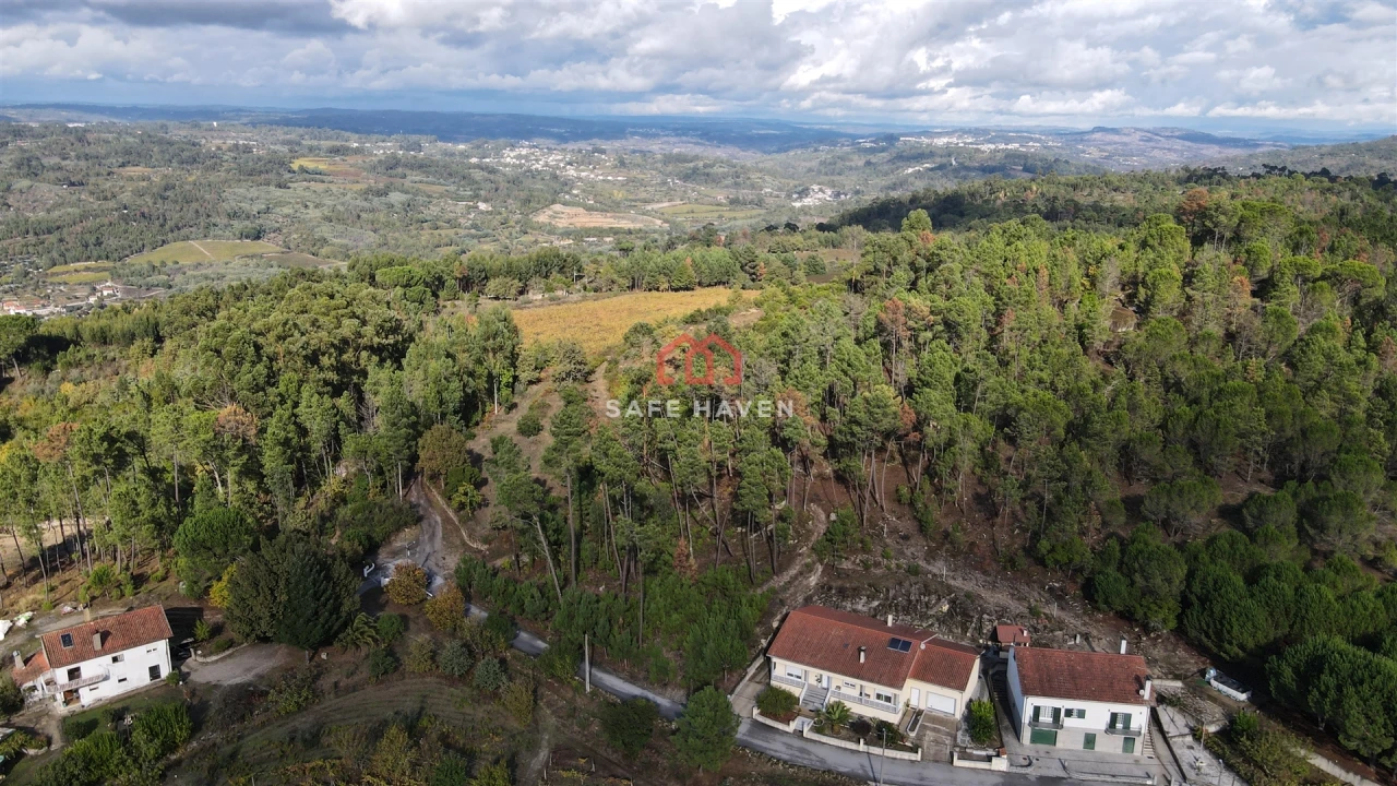 Terreno Agricola ou Rústico para Venda em Mangualde, Mesquitela e Cunha Alta Foto 3