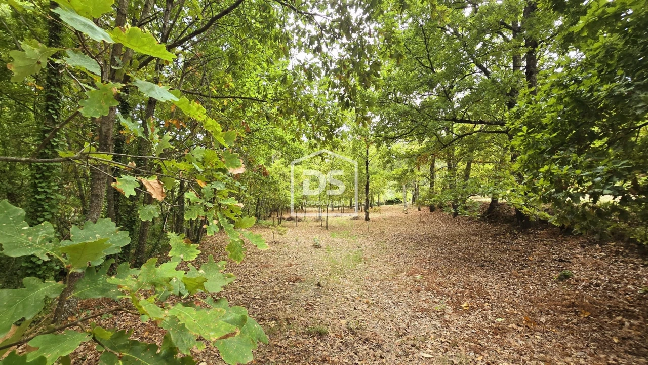 Quinta T3 para Venda em Mizarela, Pêro Soares e Vila Soeiro Foto 1