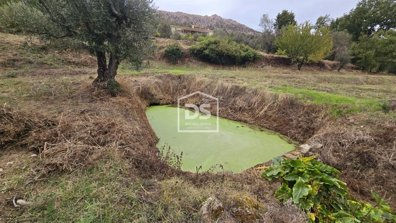 Quinta T3 para Venda em Mizarela, Pêro Soares e Vila Soeiro Foto 49