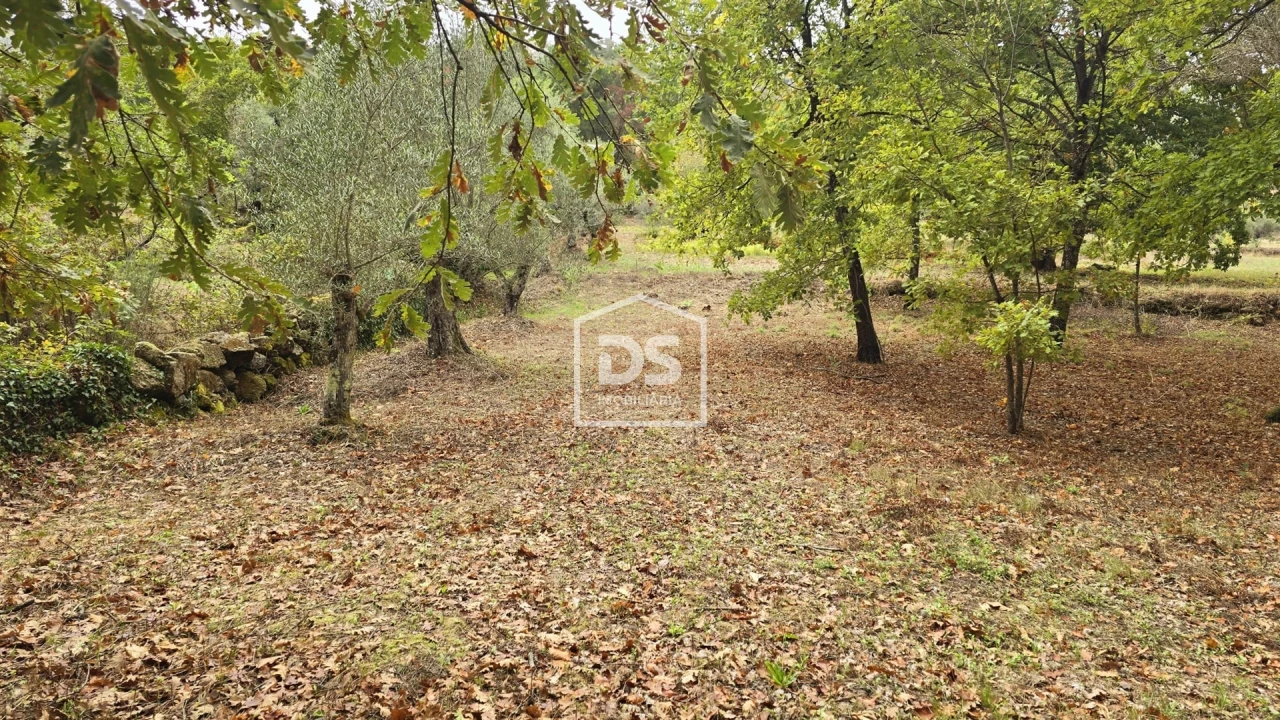 Quinta T3 para Venda em Mizarela, Pêro Soares e Vila Soeiro Foto 43