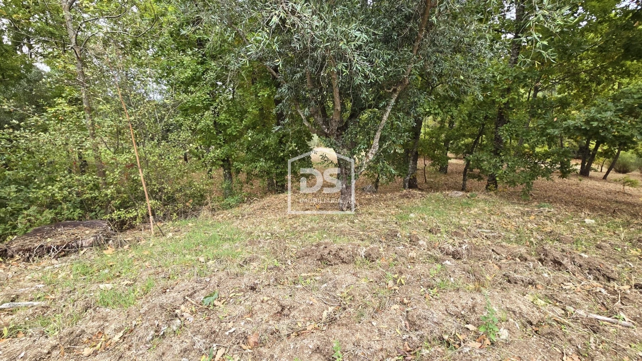 Quinta T3 para Venda em Mizarela, Pêro Soares e Vila Soeiro Foto 44