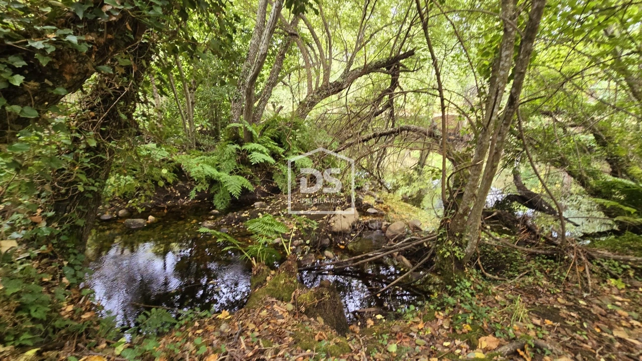 Quinta T3 para Venda em Mizarela, Pêro Soares e Vila Soeiro Foto 27