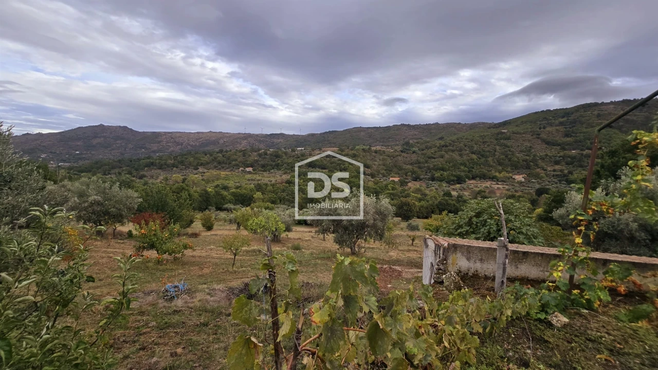 Quinta T3 para Venda em Mizarela, Pêro Soares e Vila Soeiro Foto 31
