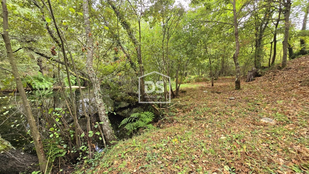 Quinta T3 para Venda em Mizarela, Pêro Soares e Vila Soeiro Foto 47
