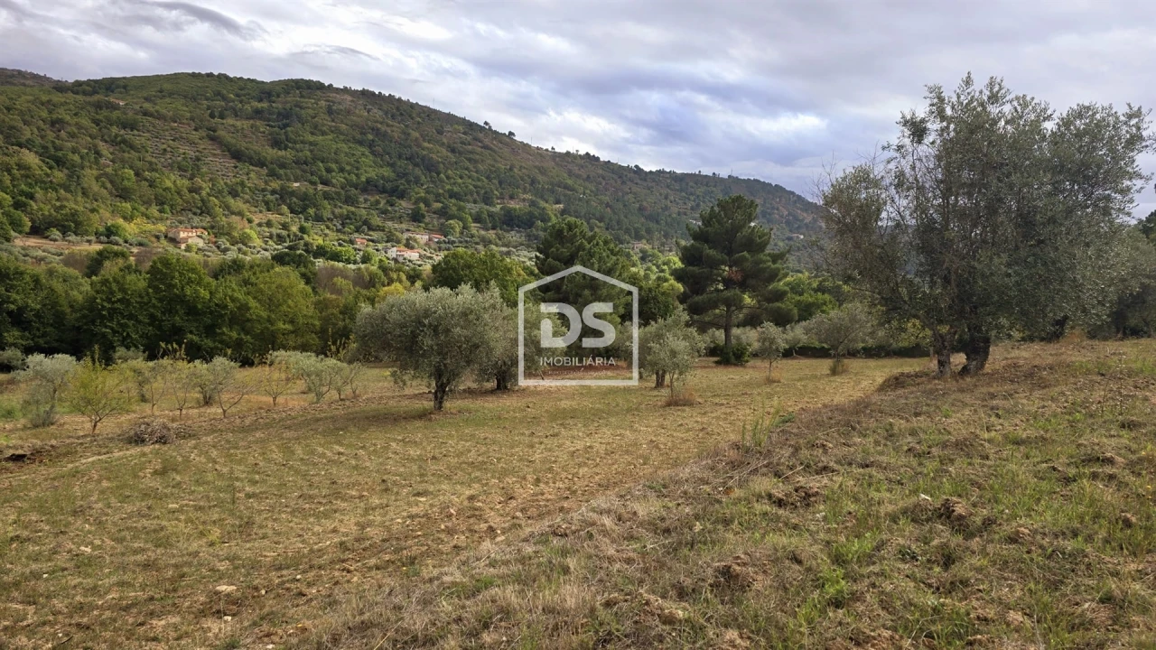 Quinta T3 para Venda em Mizarela, Pêro Soares e Vila Soeiro Foto 33