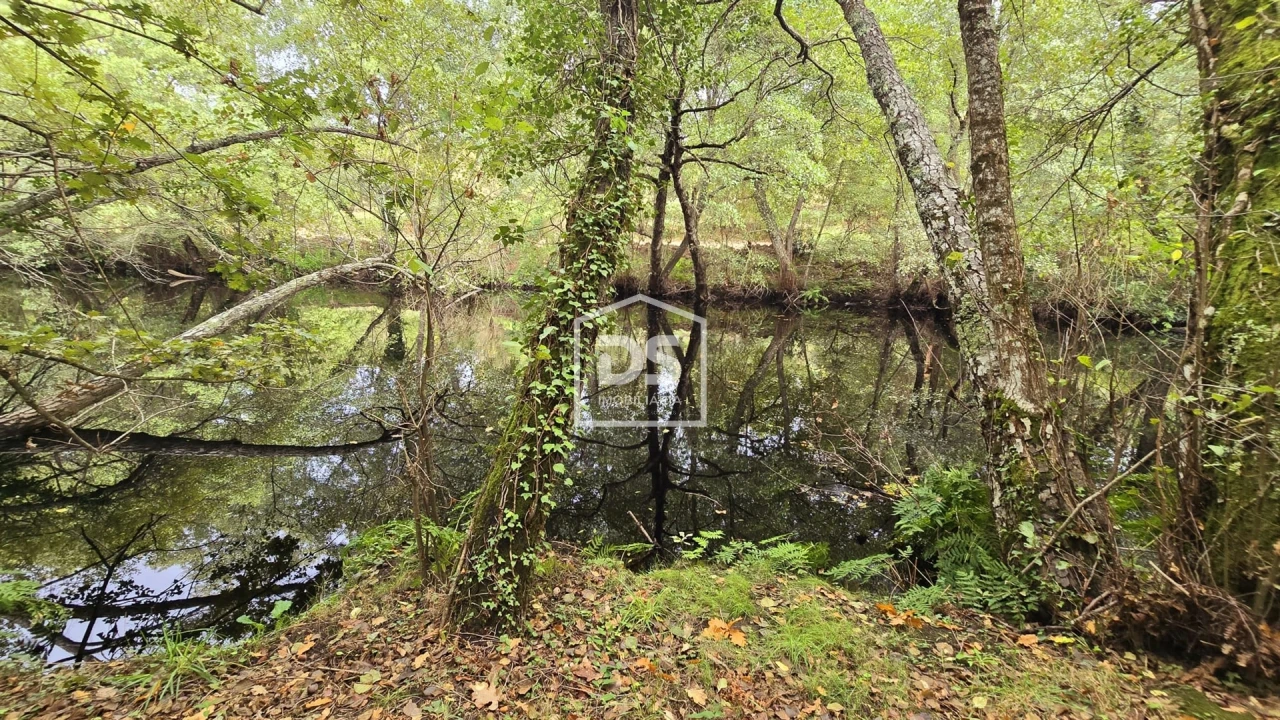 Quinta T3 para Venda em Mizarela, Pêro Soares e Vila Soeiro Foto 45
