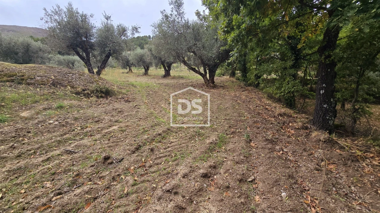 Quinta T3 para Venda em Mizarela, Pêro Soares e Vila Soeiro Foto 48