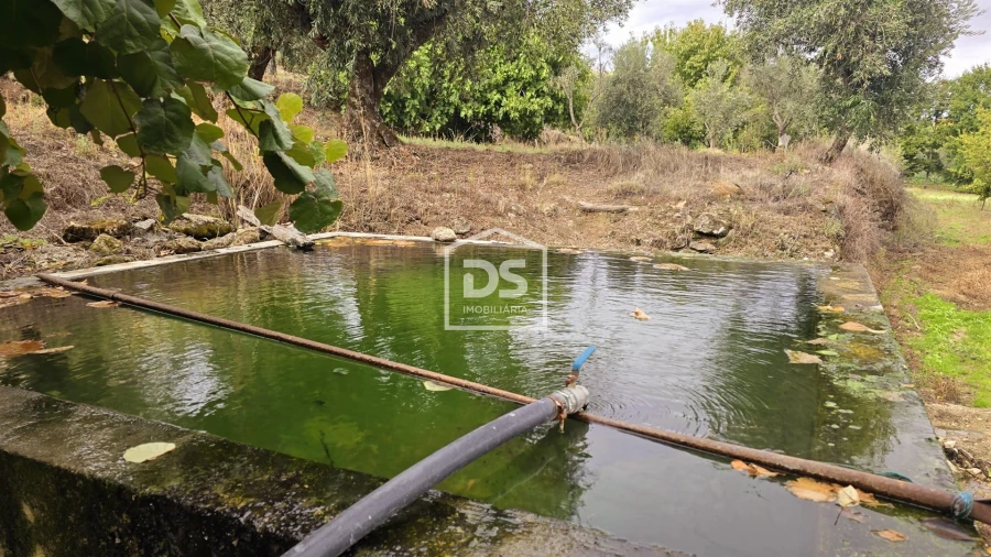Quinta T3 para Venda em Mizarela, Pêro Soares e Vila Soeiro Foto 40
