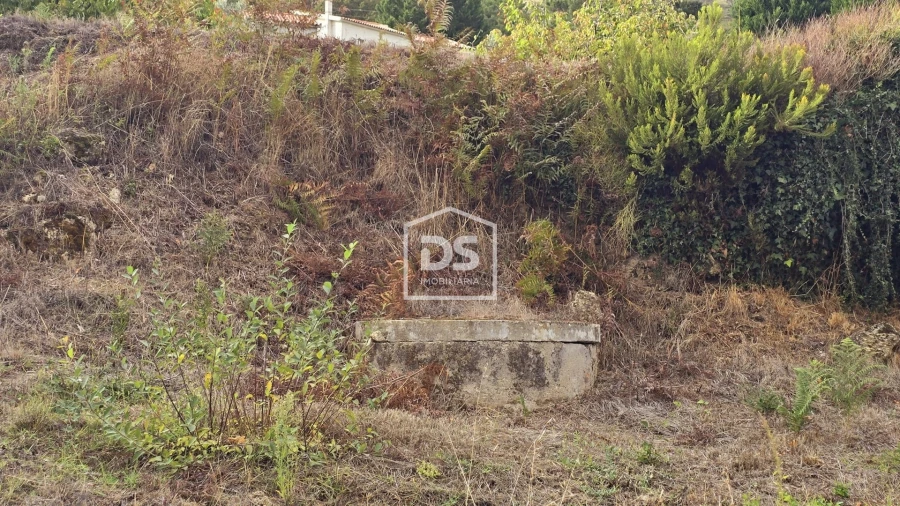 Quinta T3 para Venda em Mizarela, Pêro Soares e Vila Soeiro Foto 29