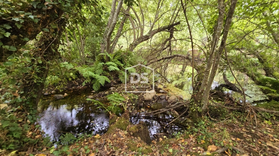 Quinta T3 para Venda em Mizarela, Pêro Soares e Vila Soeiro Foto 27