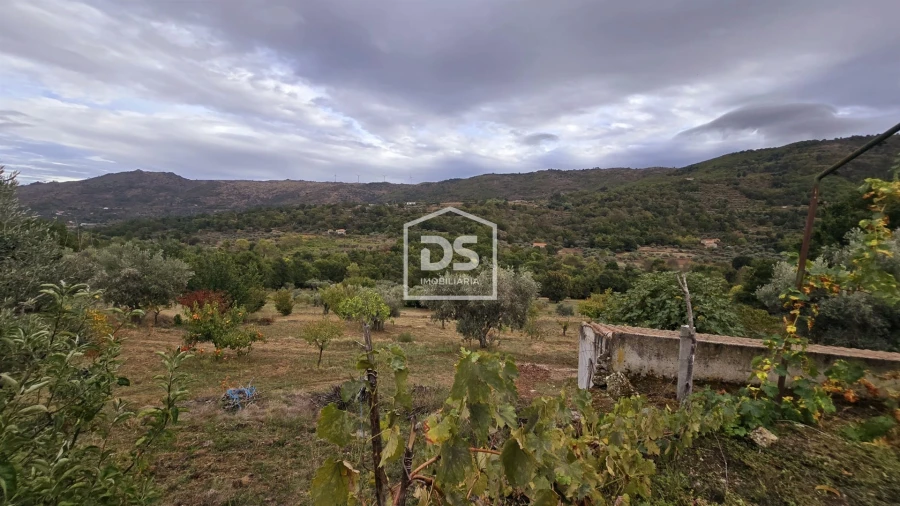 Quinta T3 para Venda em Mizarela, Pêro Soares e Vila Soeiro Foto 31